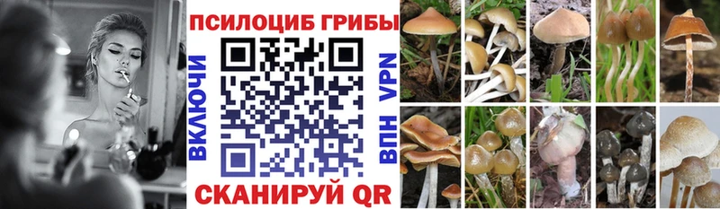 Галлюциногенные грибы прущие грибы hydra рабочий сайт Сковородино